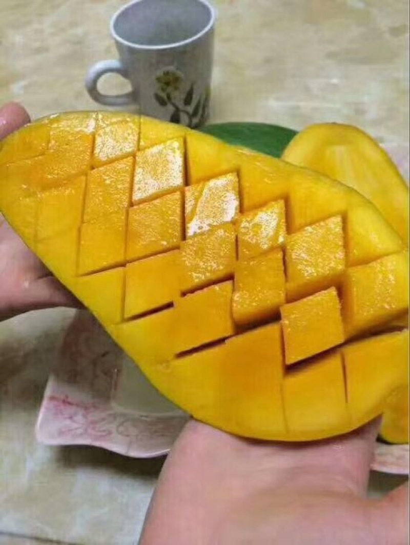 大青芒