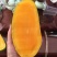 大青芒