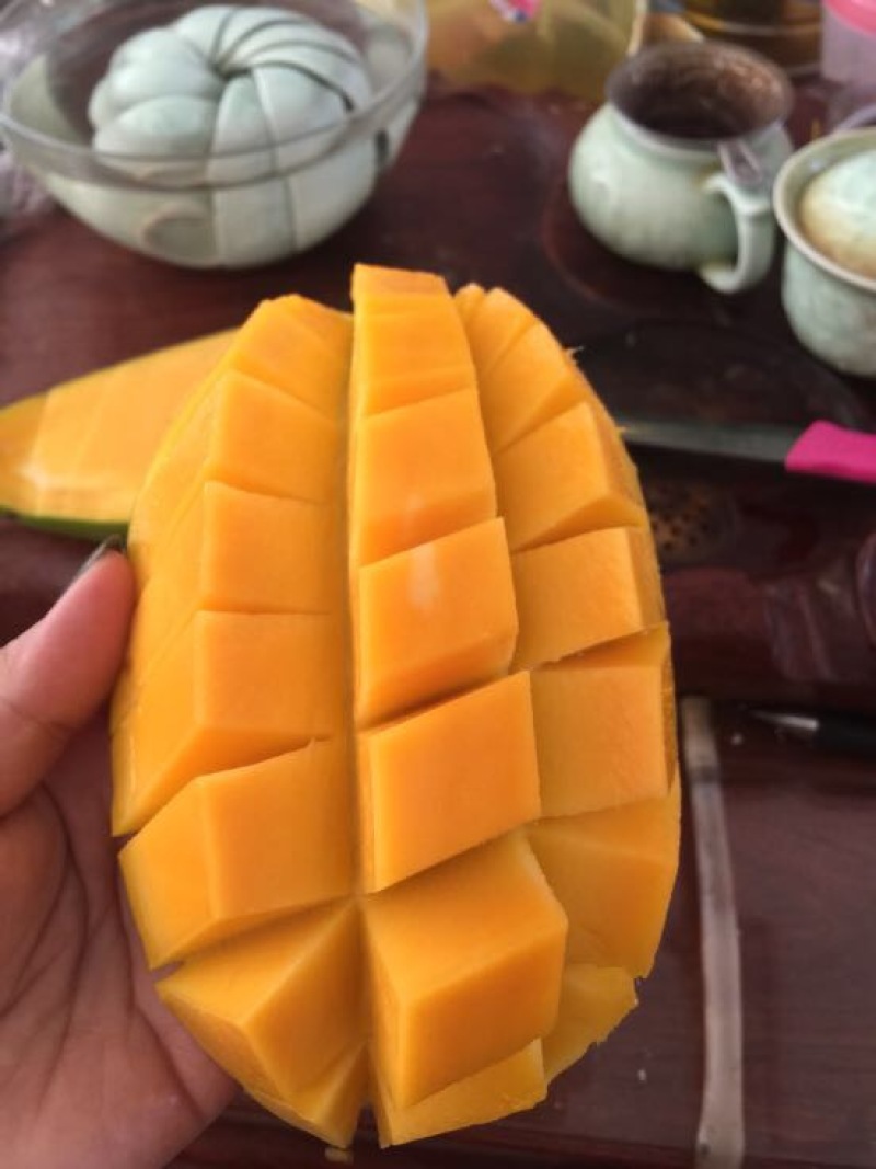 大青芒