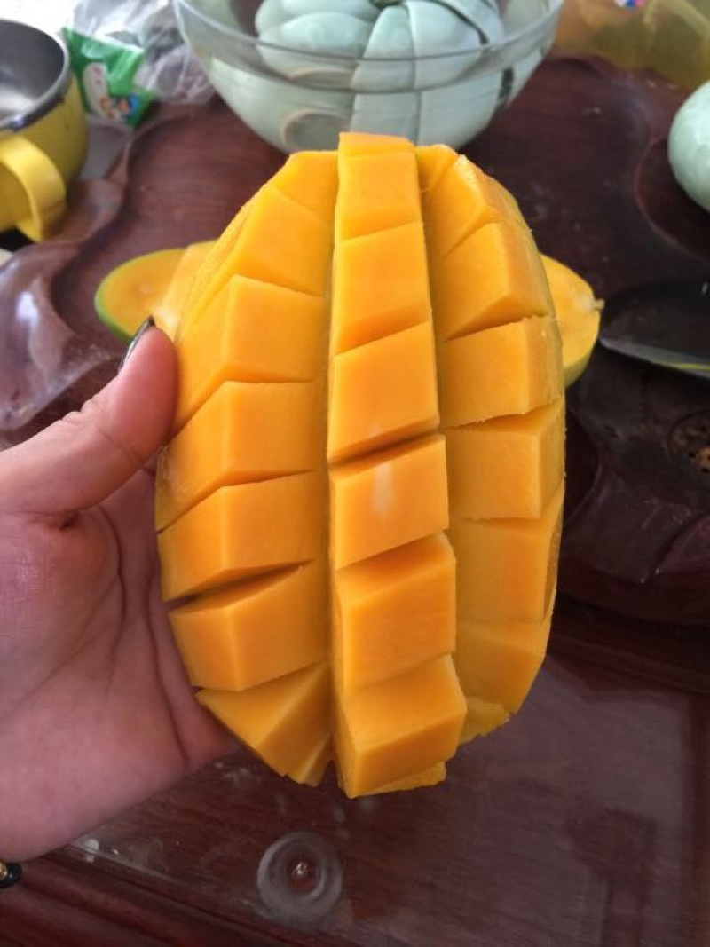 大青芒