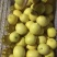 尤力克柠檬1~1.5两