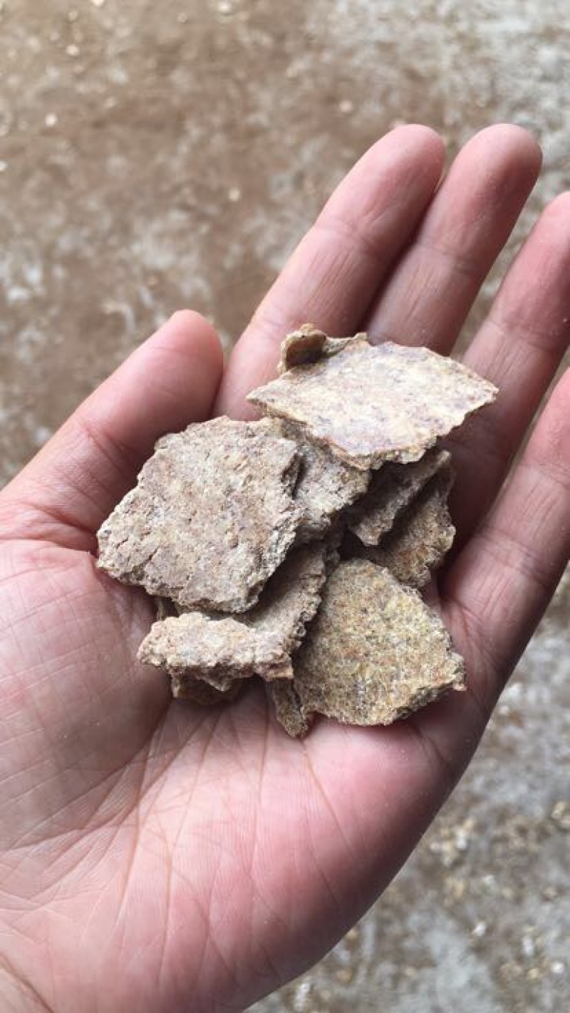 花生麸枯饼熟榨湖南优质饲料大量有售