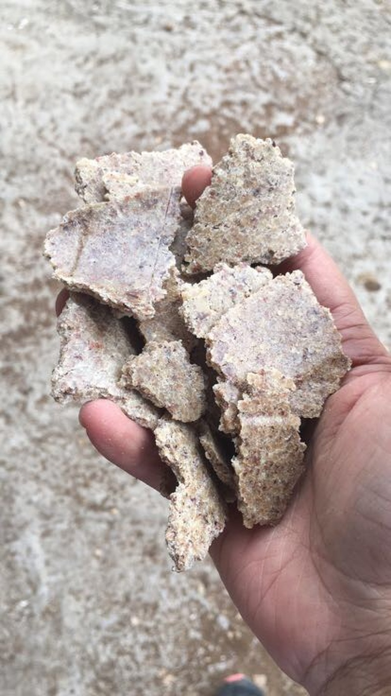 花生麸枯饼熟榨湖南优质饲料大量有售