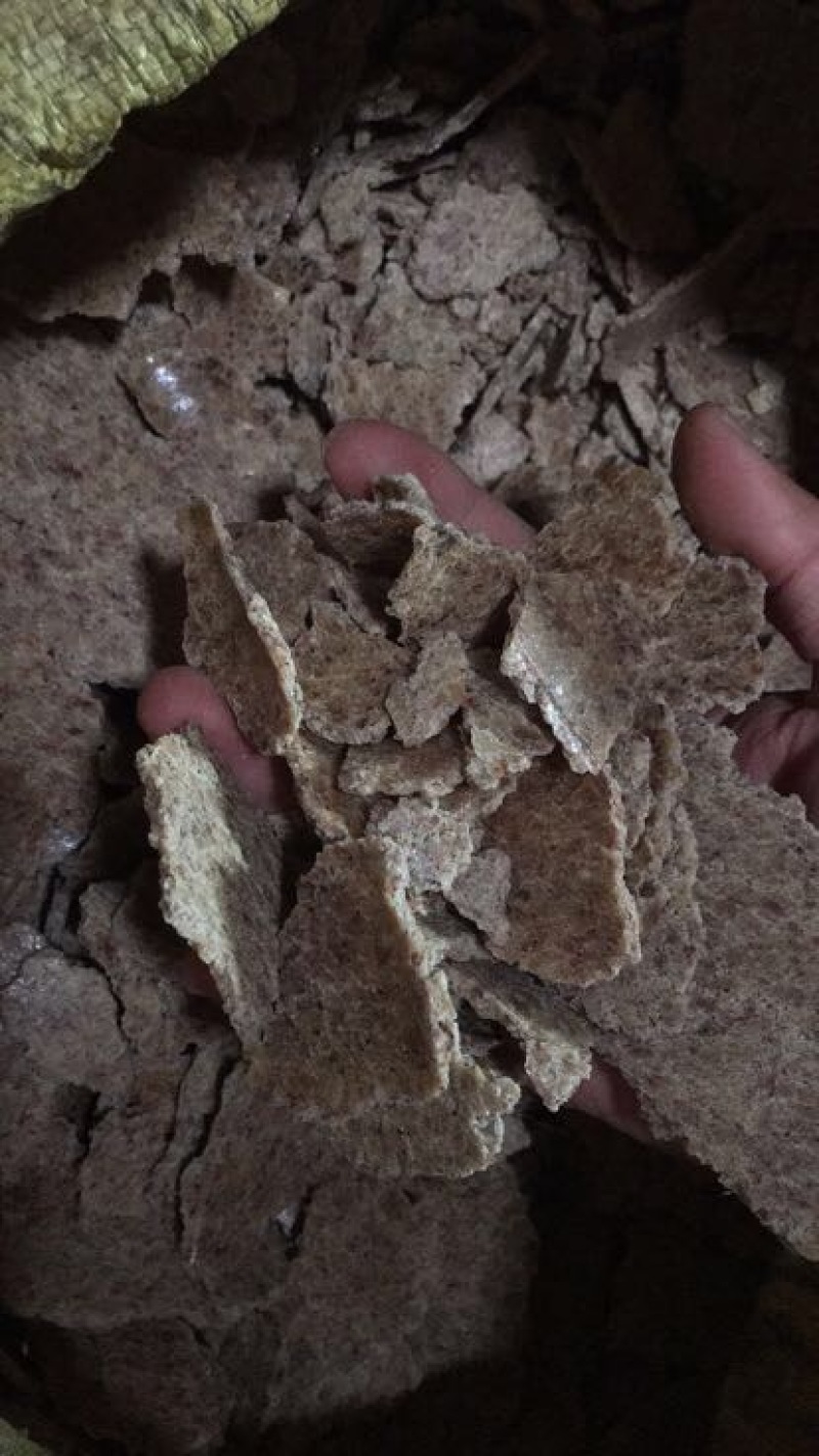 花生麸枯饼熟榨湖南优质饲料大量有售