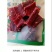 牛肉干牦牛肉鲜肉