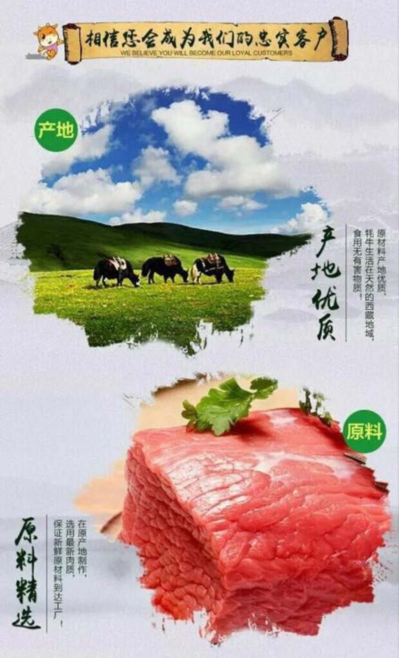 牛肉干牦牛肉鲜肉