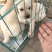 拉布拉多犬公