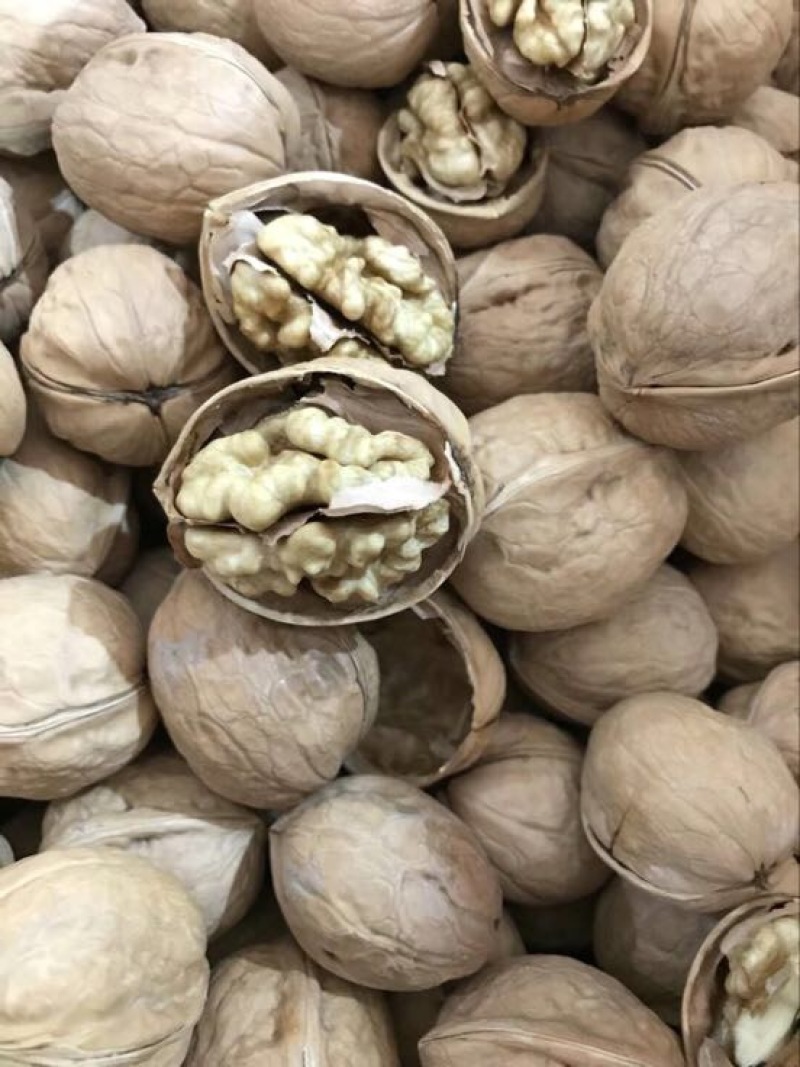 纸皮核桃30mm以上去皮干