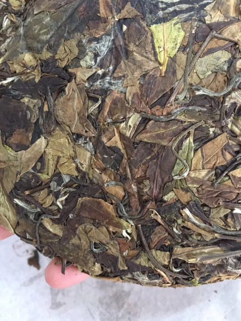 福鼎白茶二级