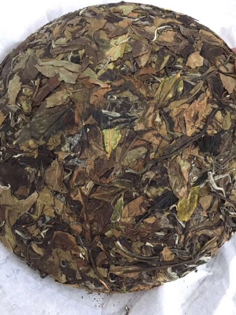 福鼎白茶二级