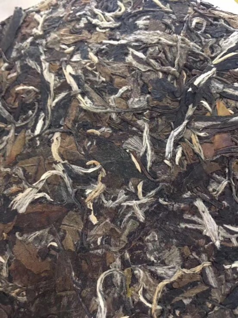 福鼎白茶一级