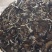 福鼎白茶一级