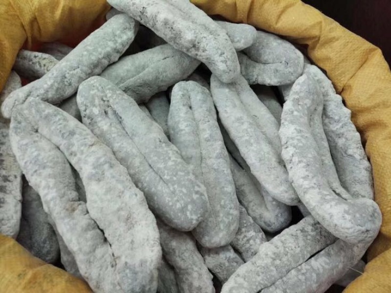 海参食用淡干
