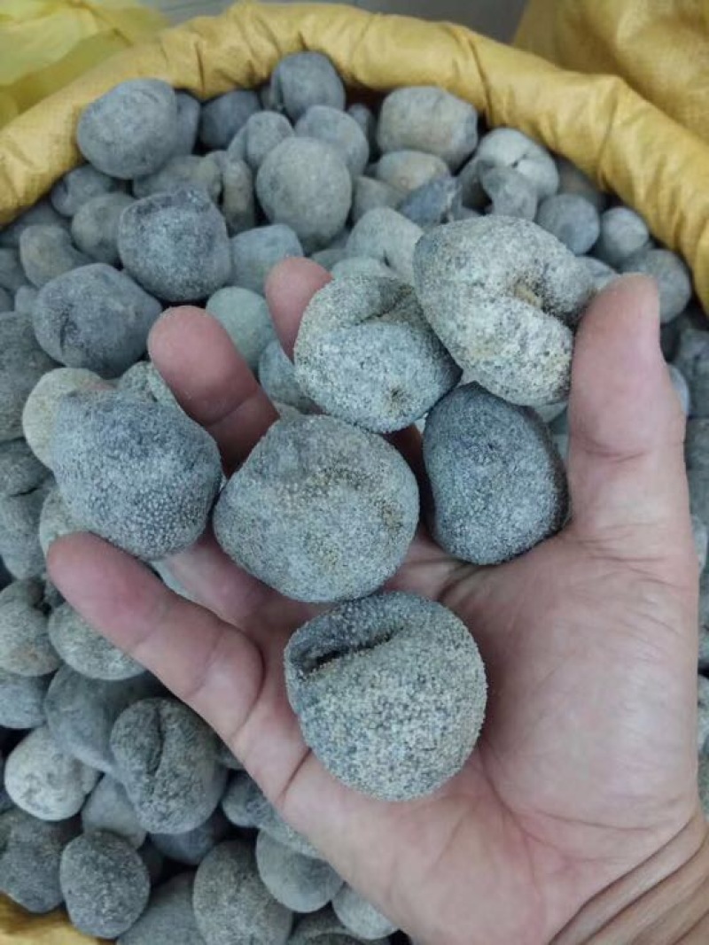 海参食用淡干