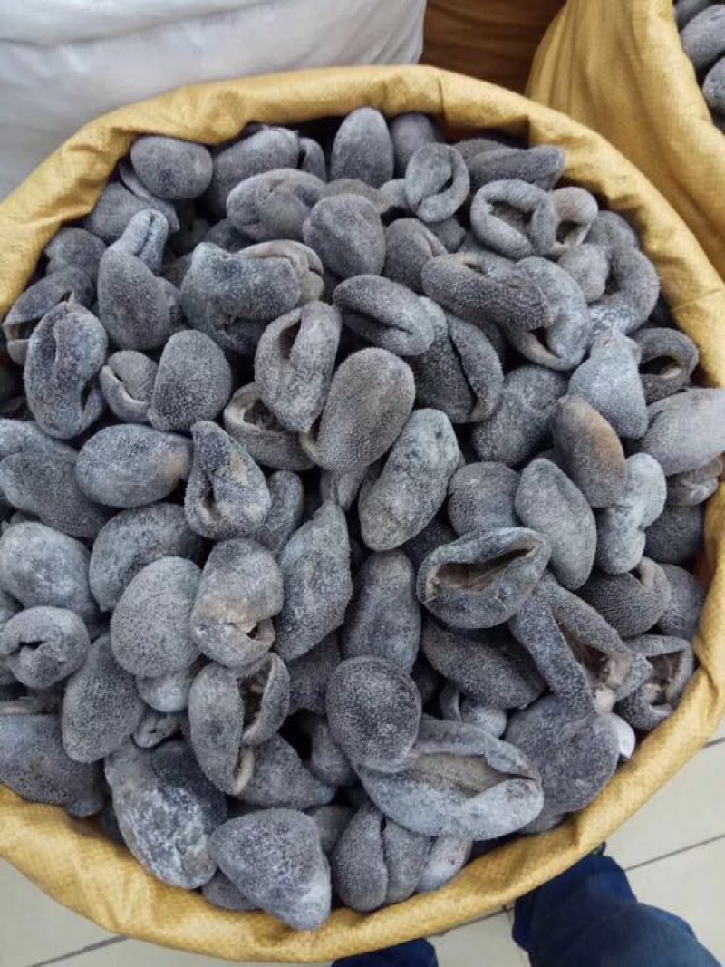 海参食用淡干