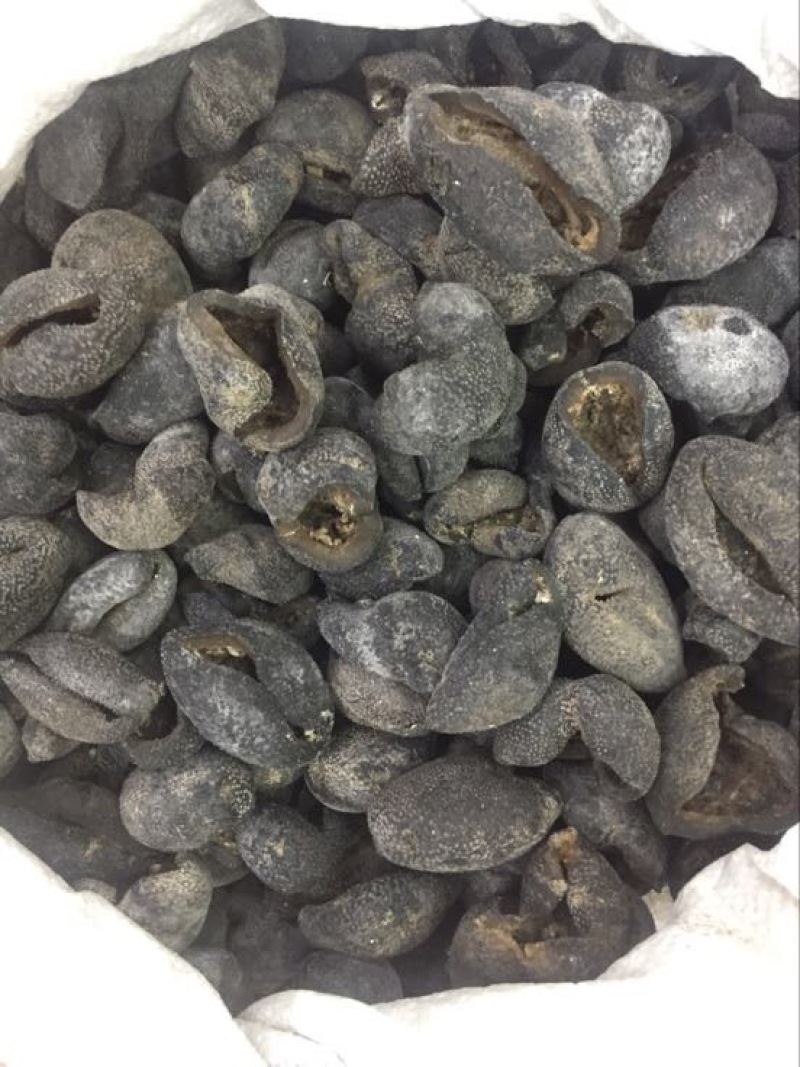 海参食用淡干