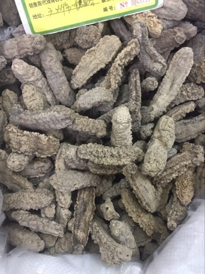 海参食用淡干