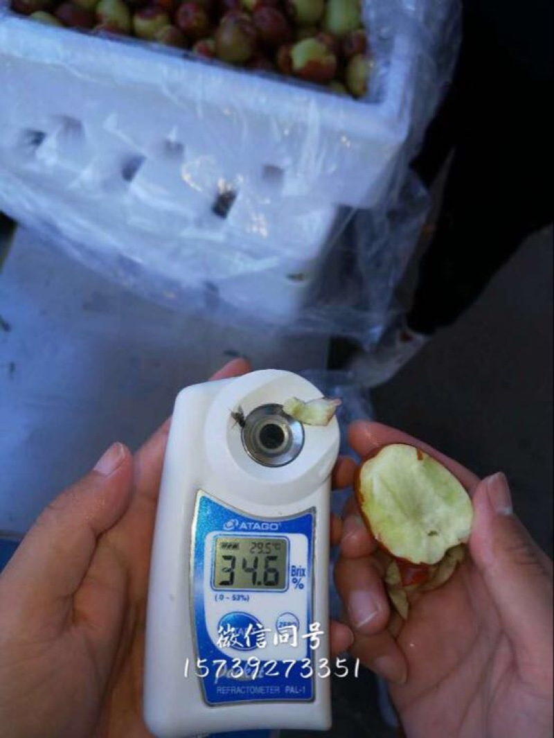 冬枣拐一