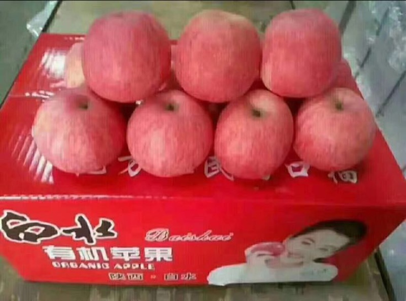 白水苹果70mm以上纸+膜袋