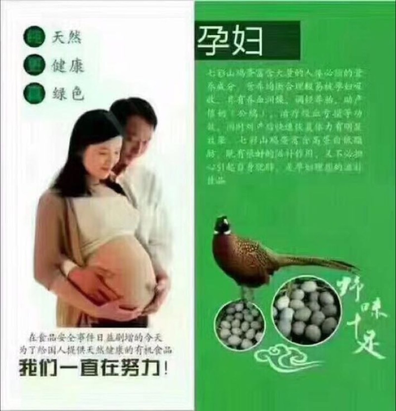 山鸡雄