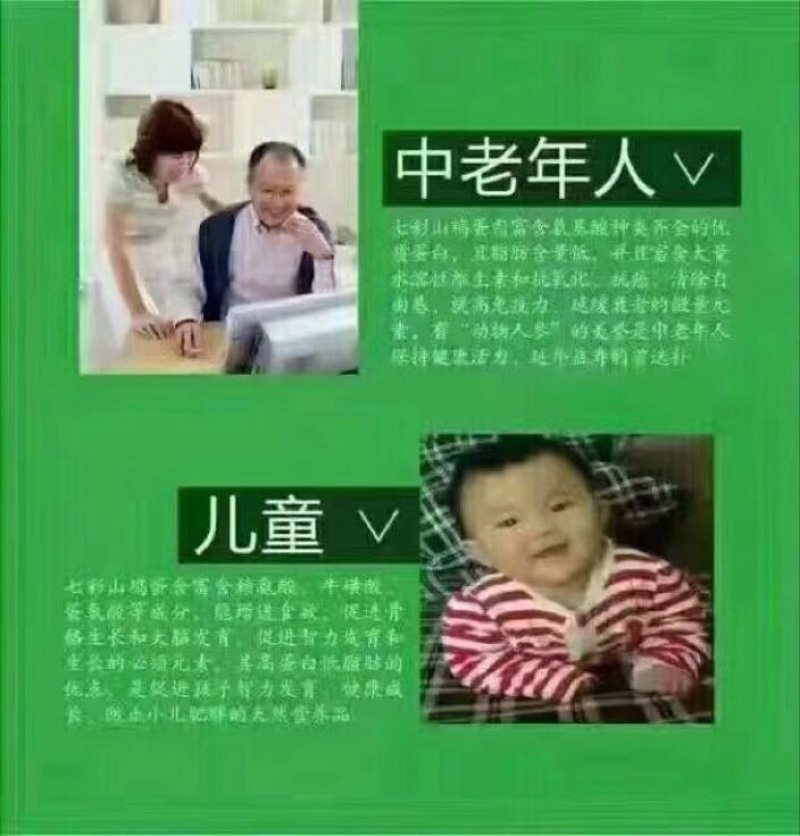山鸡雄