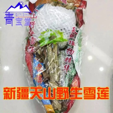 雪莲花