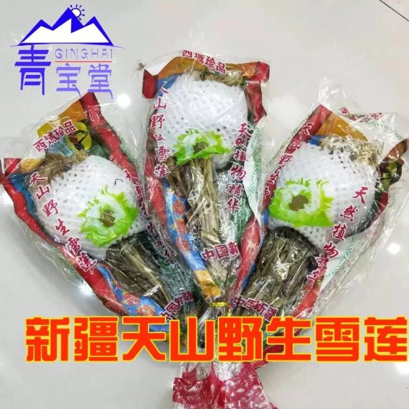 雪莲花