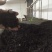 岩茶特级