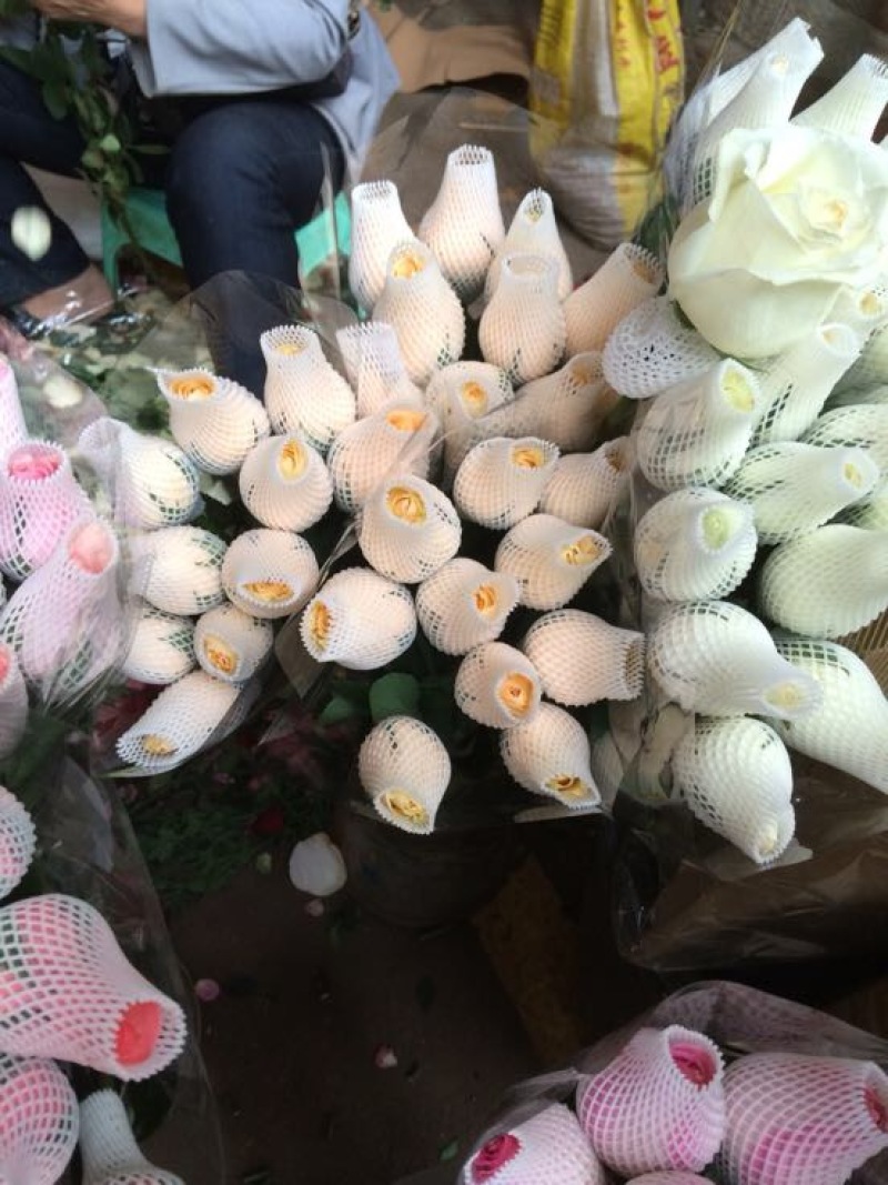 玫瑰鲜切花20朵玫瑰鲜花批发云南昆明斗南基地直发