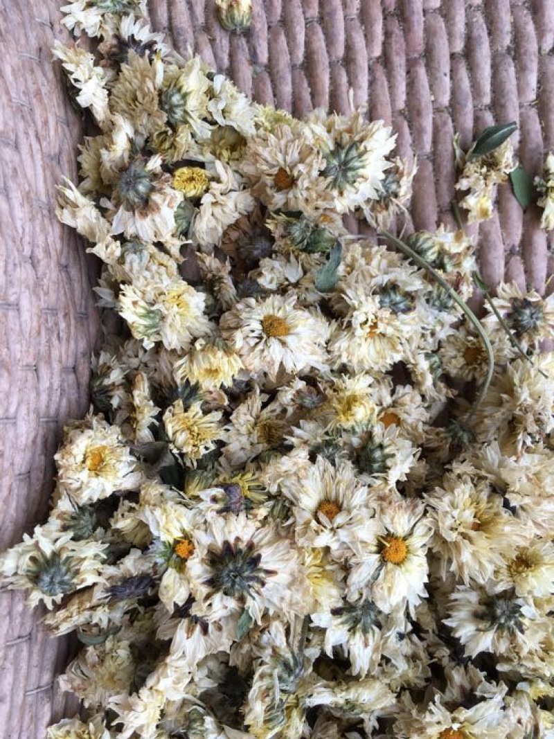 药用菊花袋装