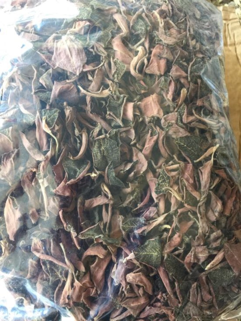 金线莲干货