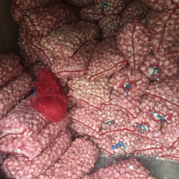 白皮蒜混级统货干蒜