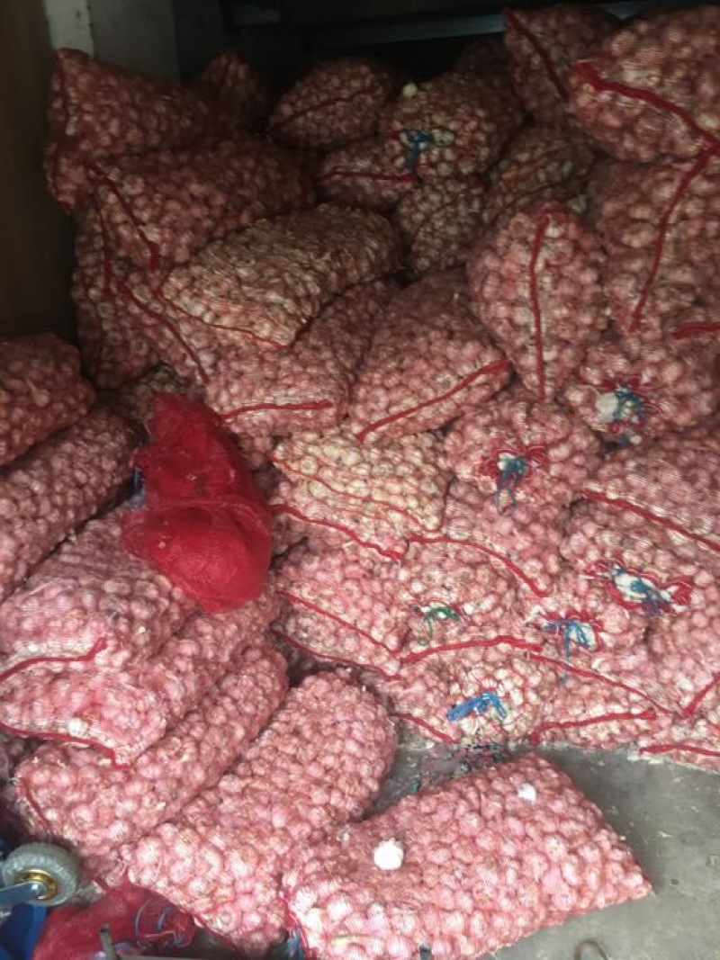 白皮蒜混级统货干蒜