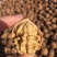 新疆185核桃去皮干