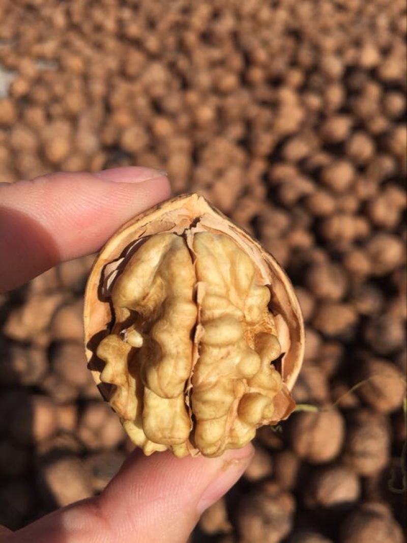 新疆185核桃去皮干