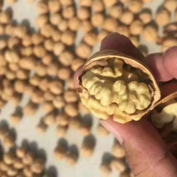 新疆185核桃去皮干