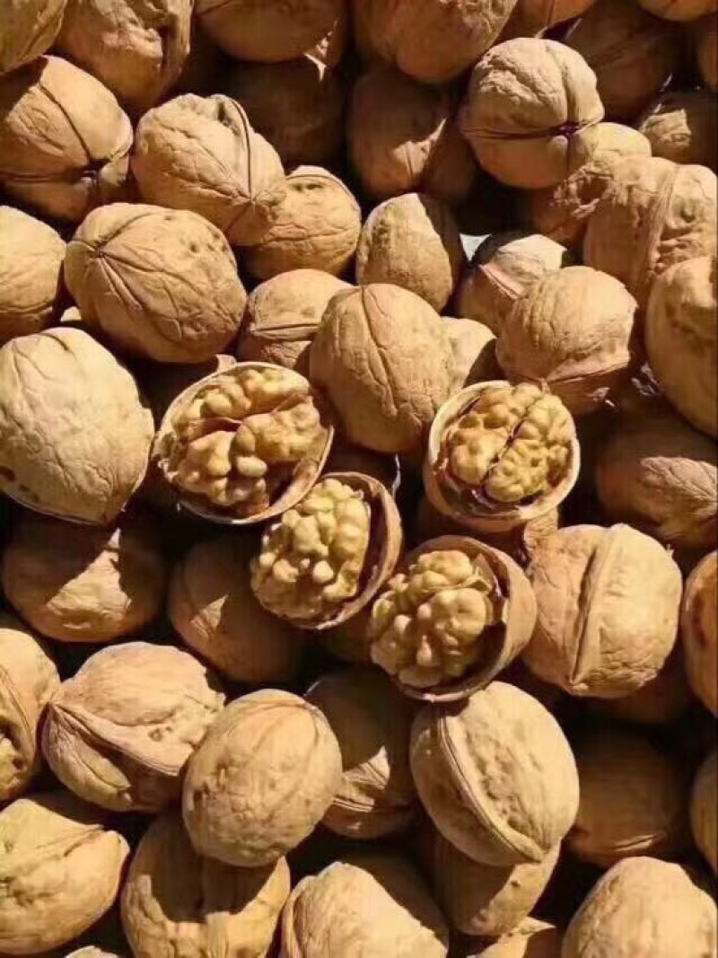 新疆185核桃去皮干