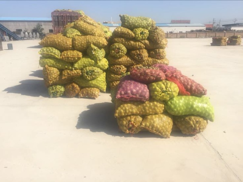 薄皮核桃去皮干