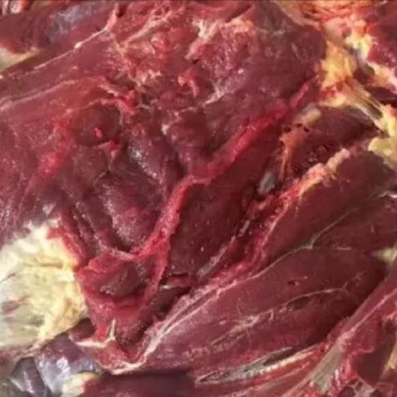 驴肉冻货