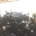 黑山羊50~80斤/头