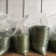 绿茶特级