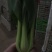 小油菜1两以上