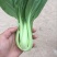 小油菜1两以上