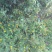 野菊花统货