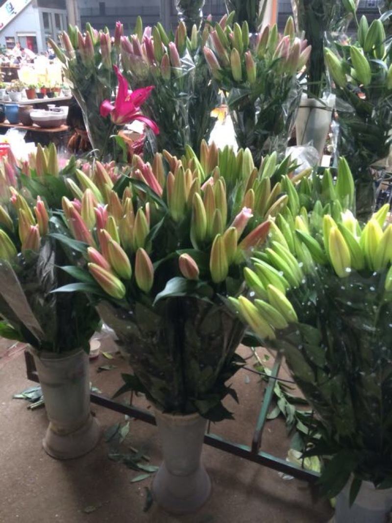云南昆明斗南鲜花基地直供红玫瑰10朵红玫瑰鲜花速递