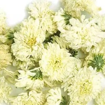 菊花茶一级