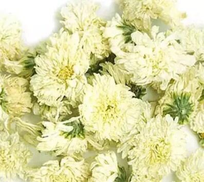 菊花茶一级