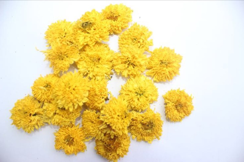 皇菊茶一级