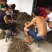 白芨欢迎电话咨询自产自销营养丰富品质保证