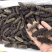 海参食用淡干